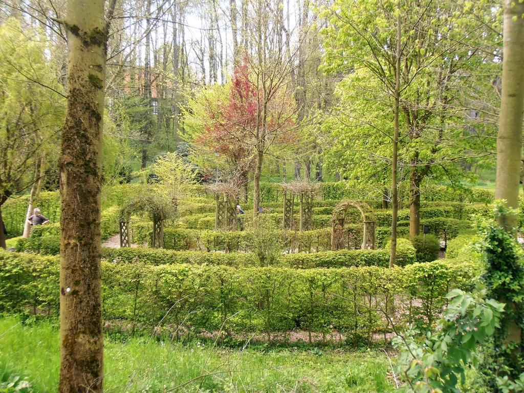 Gasthaus Schadde فولثو المظهر الخارجي الصورة
