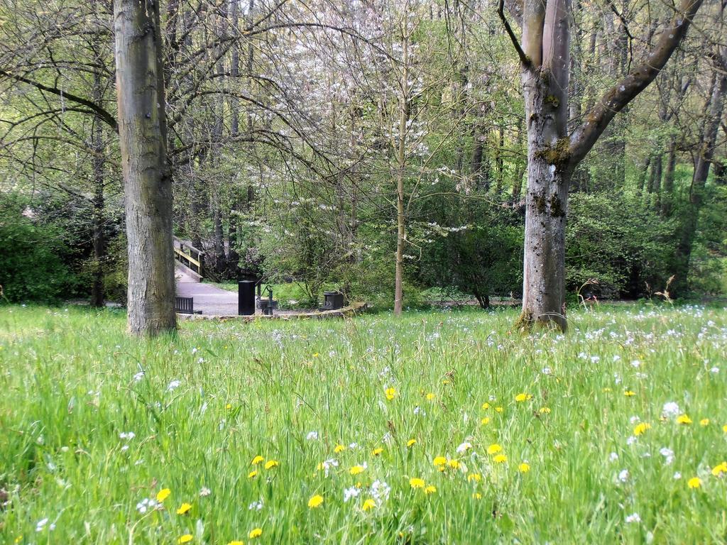 Gasthaus Schadde فولثو المظهر الخارجي الصورة